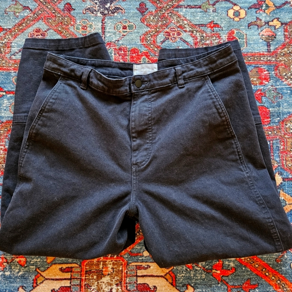 Everlane The Utility Barrel Pants in Black sz 16R